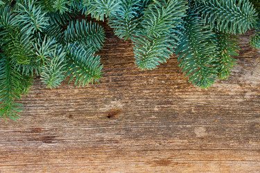 Similar image 9546733