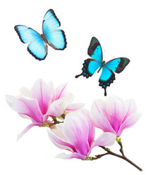 Similar image 9546866