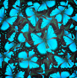 Similar image 9546870