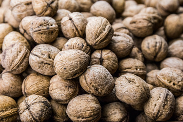 Similar image 9547049