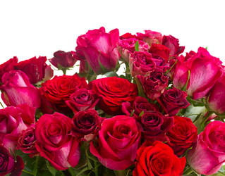 Similar image 9547057