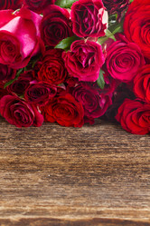 Similar image 9547071