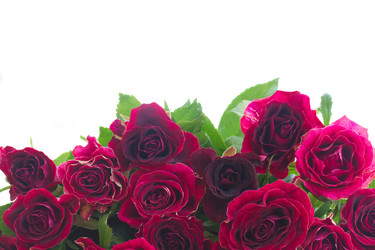 Similar image 9547077