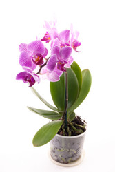 Similar image 9547086