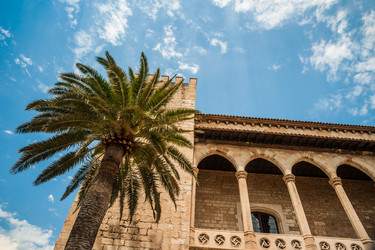 Similar image 9547220