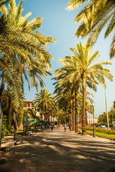 Similar image 9547386