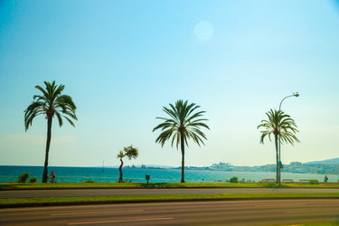 Similar image 9547394