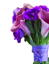 Similar image 9547698