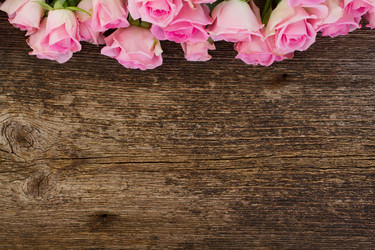 Similar image 9547720