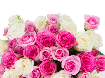 Similar image 9547723