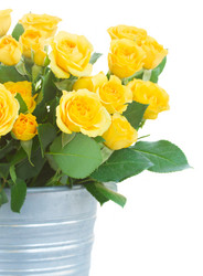 Similar image 9547742