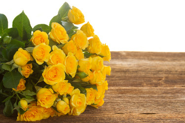 Similar image 9547743