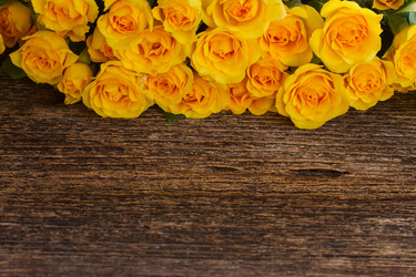 Similar image 9547750