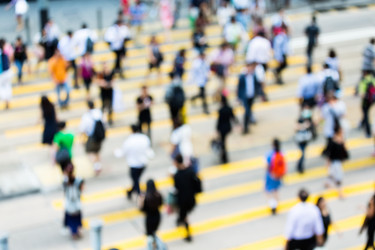 Similar image 9548085