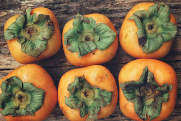 Similar image 9548555