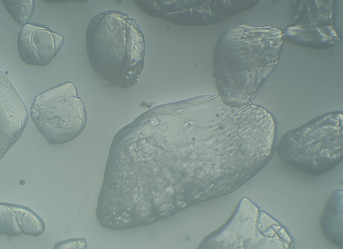 Similar image 9548612