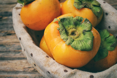 Similar image 9548693