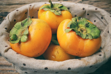 Similar image 9548698