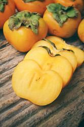 Similar image 9548740