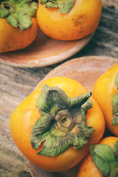 Similar image 9548756