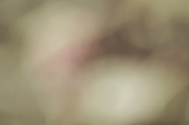 Similar image 9548839