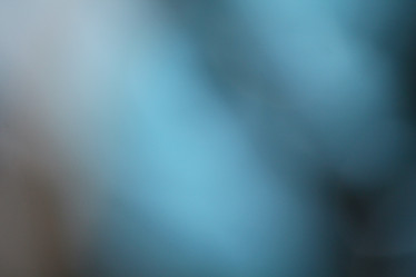 Similar image 9548847