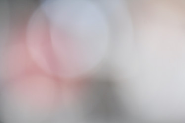 Similar image 9548850