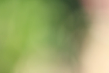 Similar image 9548853