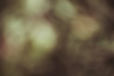 Similar image 9548874