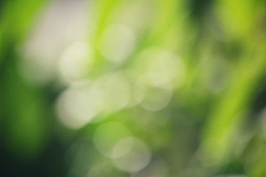 Similar image 9548930