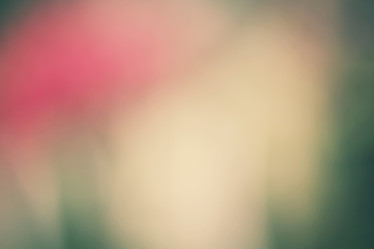 Similar image 9548935