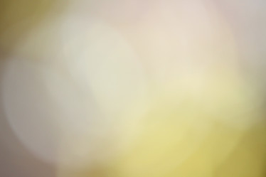 Similar image 9549115