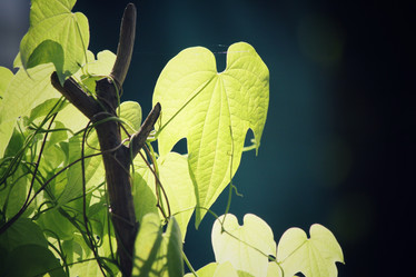 Similar image 9549126