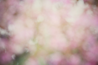 Similar image 9549219