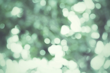 Similar image 9549223