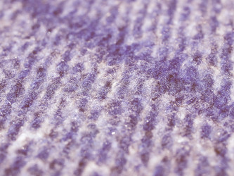 Similar image 9549362