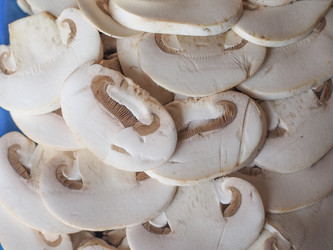 Similar image 9549431