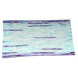 Similar image 9549622