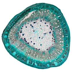 Similar image 9549626