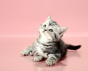 Similar image 9550222