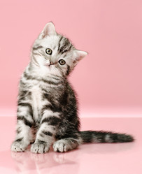 Similar image 9550226