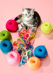 Similar image 9550236