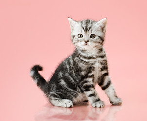 Similar image 9550241