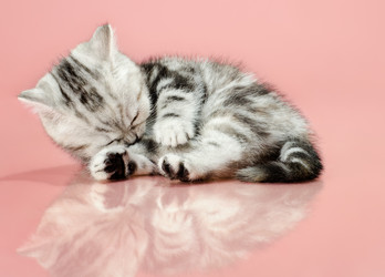 Similar image 9550244