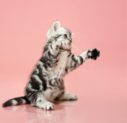 Similar image 9550248