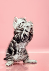 Similar image 9550382