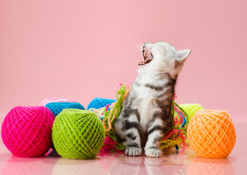 Similar image 9550398