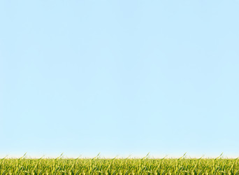 Similar image 9550678