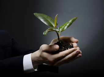 Similar image 9550808