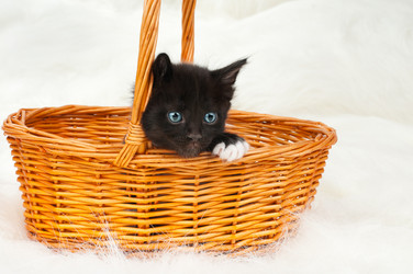 Similar image 9550834